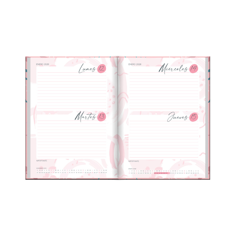 AGENDA WOMAN MEMORY COSIDA