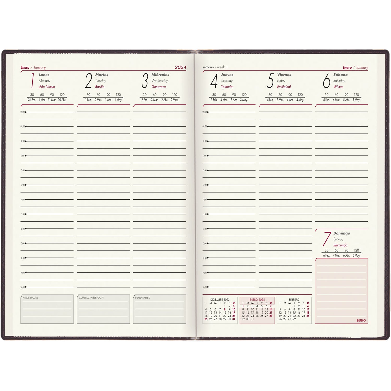AGENDA WEEKLY LION