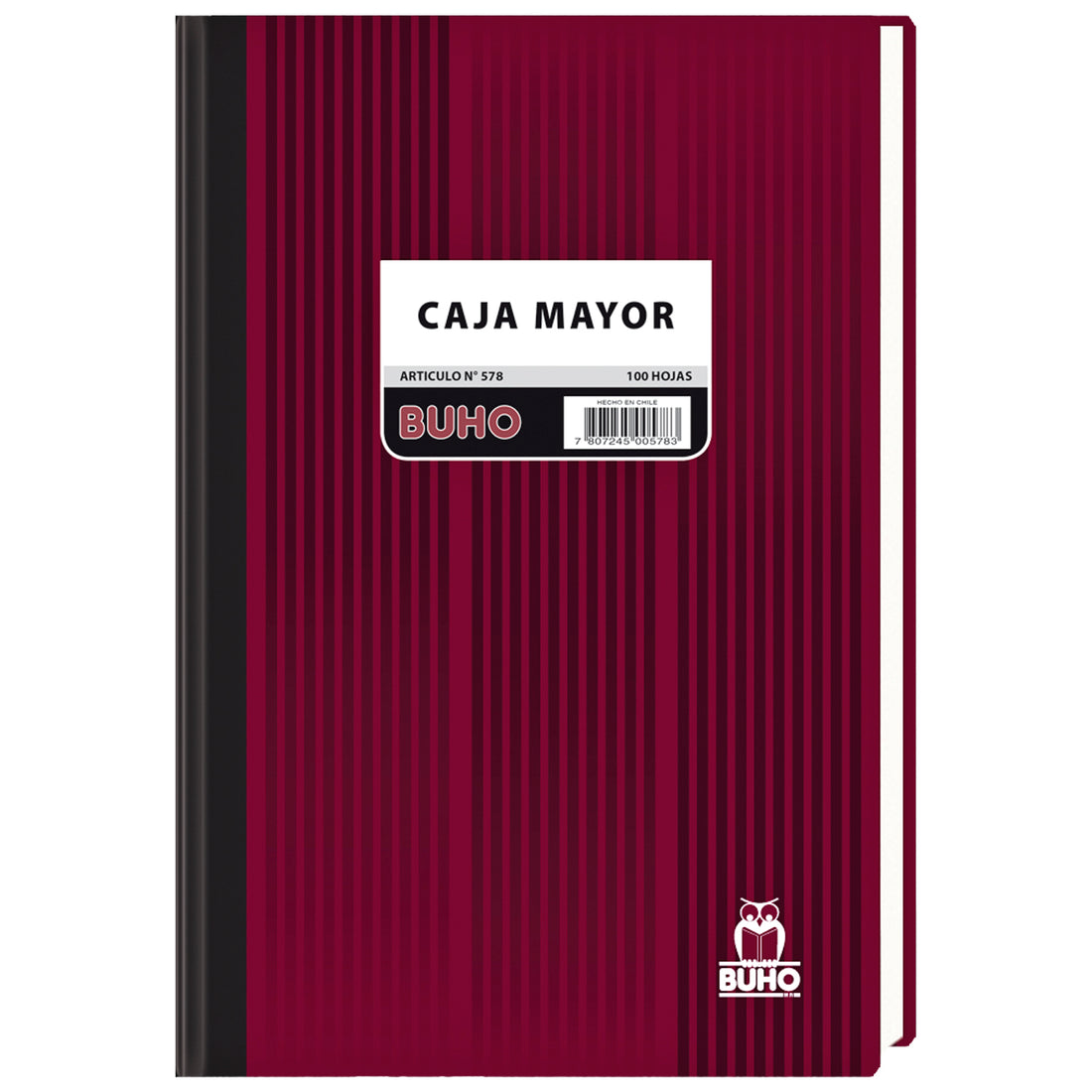 LIBRO CAJA - 100 HJS