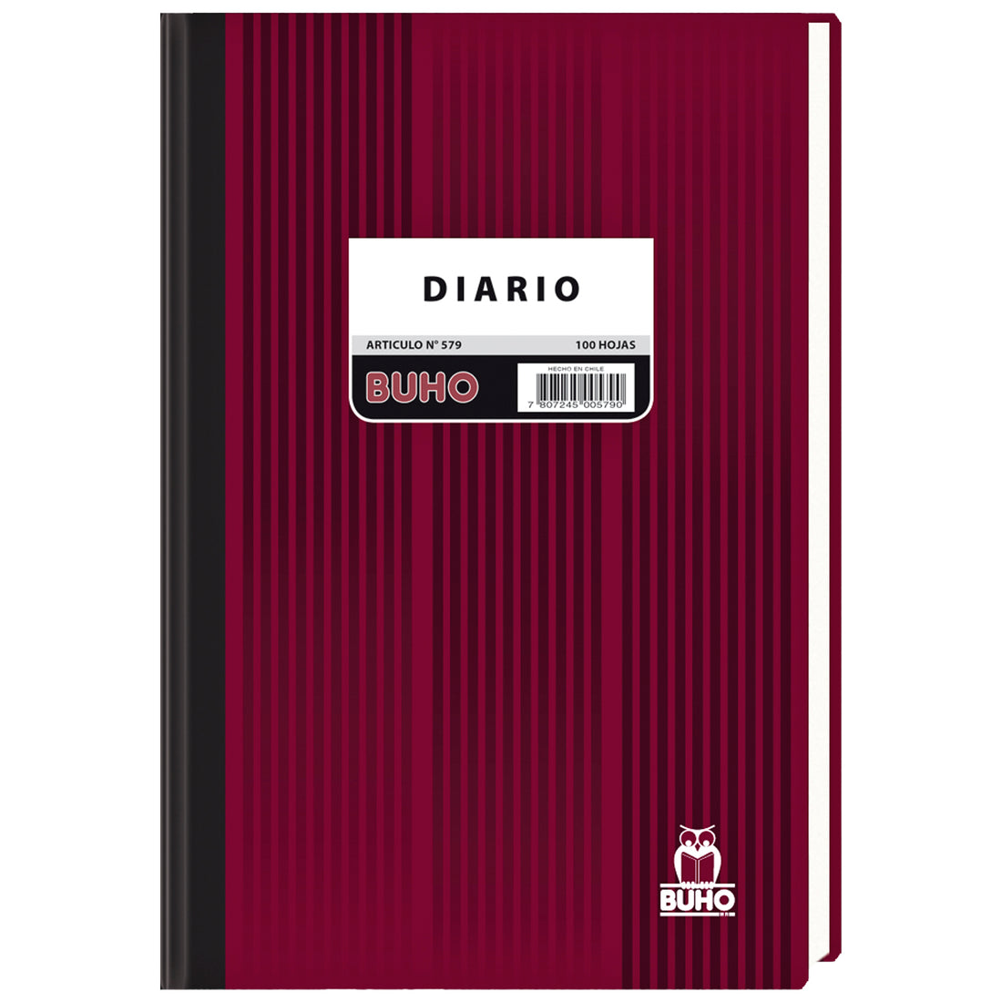 LIBRO DIARIO - 100 HJS