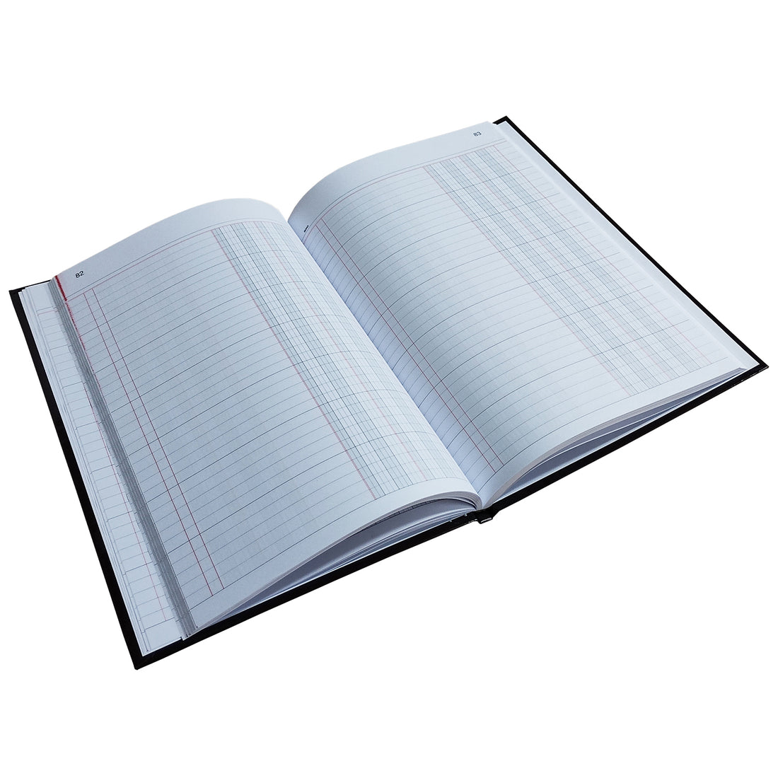 LIBRO DIARIO - 100 HJS