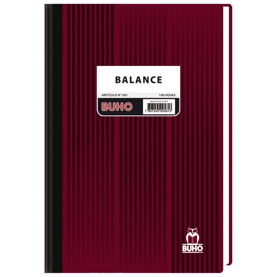 LIBRO BALANCE - 100 HJS