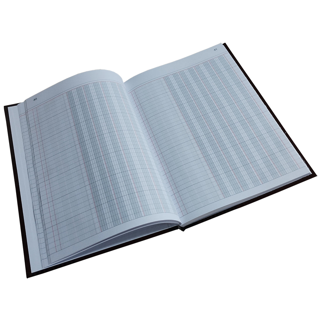 LIBRO BALANCE - 100 HJS