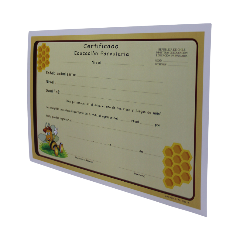 CERTIFICADO EDUCACION PARVULARIA ABEJITA