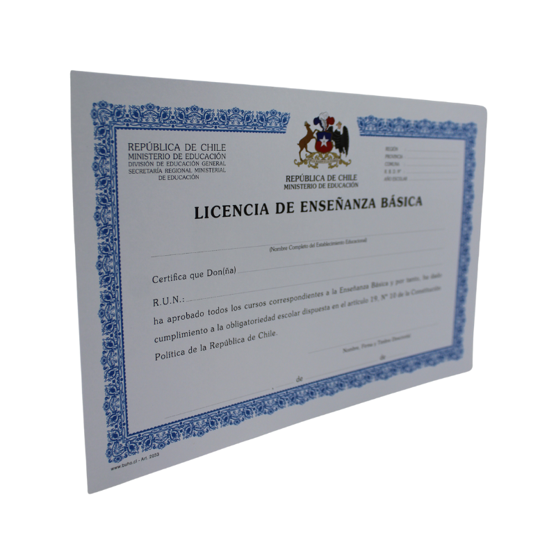 LICENCIA ENSEÑANZA BASICA