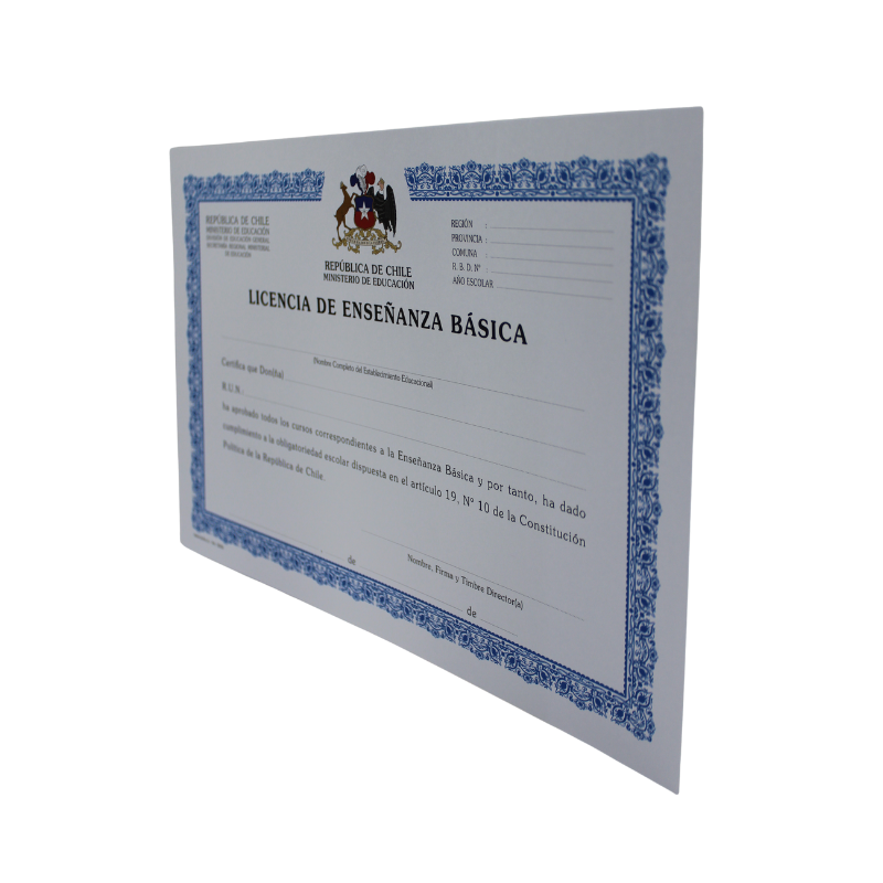 LICENCIA ENSEÑANZA BASICA