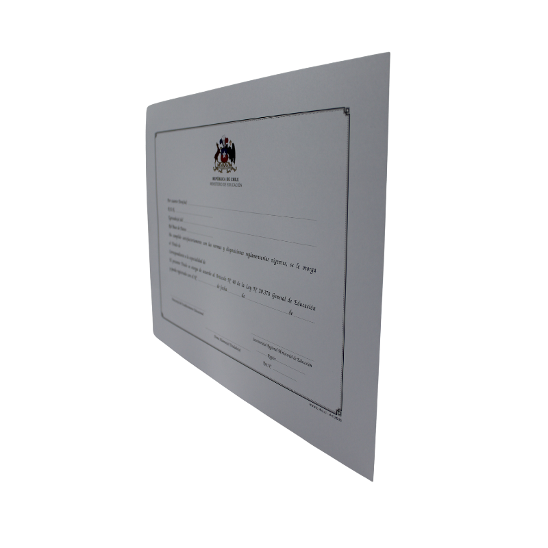 TITULO DE ENSEÑANZA MEDIA TECNICO PROFESIONAL