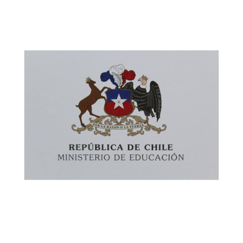 TITULO DE ENSEÑANZA MEDIA TECNICO PROFESIONAL