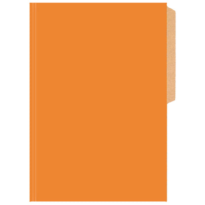 CARPETA PIGMENTADA NARANJA BRILLANTE