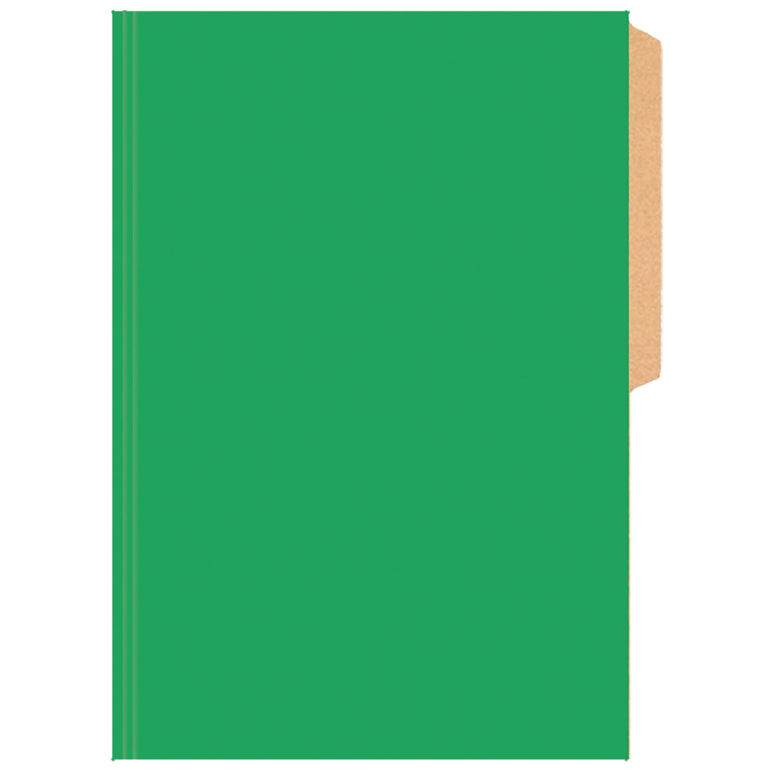 CARPETA PIGMENTADA VERDE BRILLANTE
