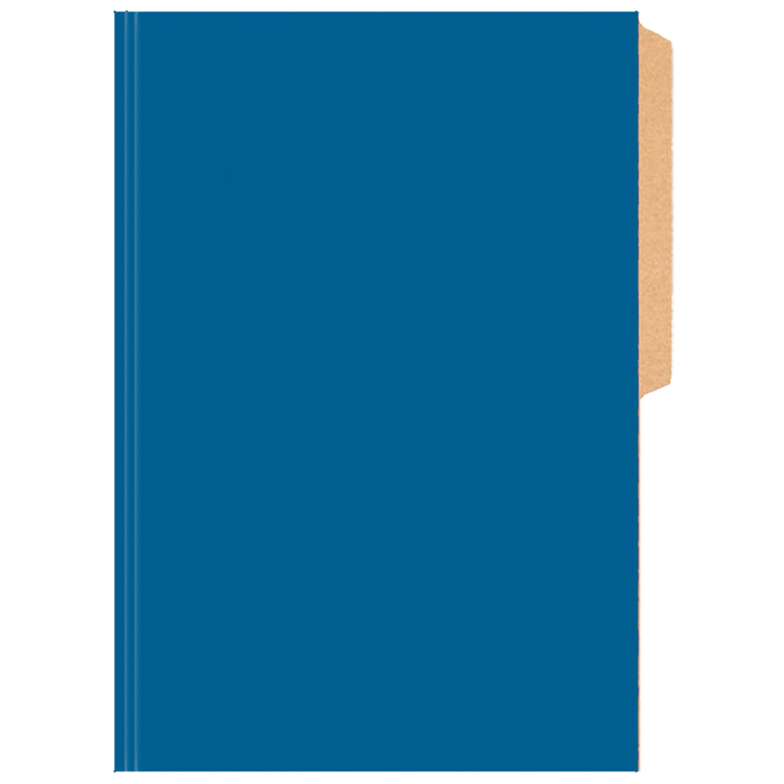 CARPETA PIGMENTADA AZUL CLARO BRILLANTE