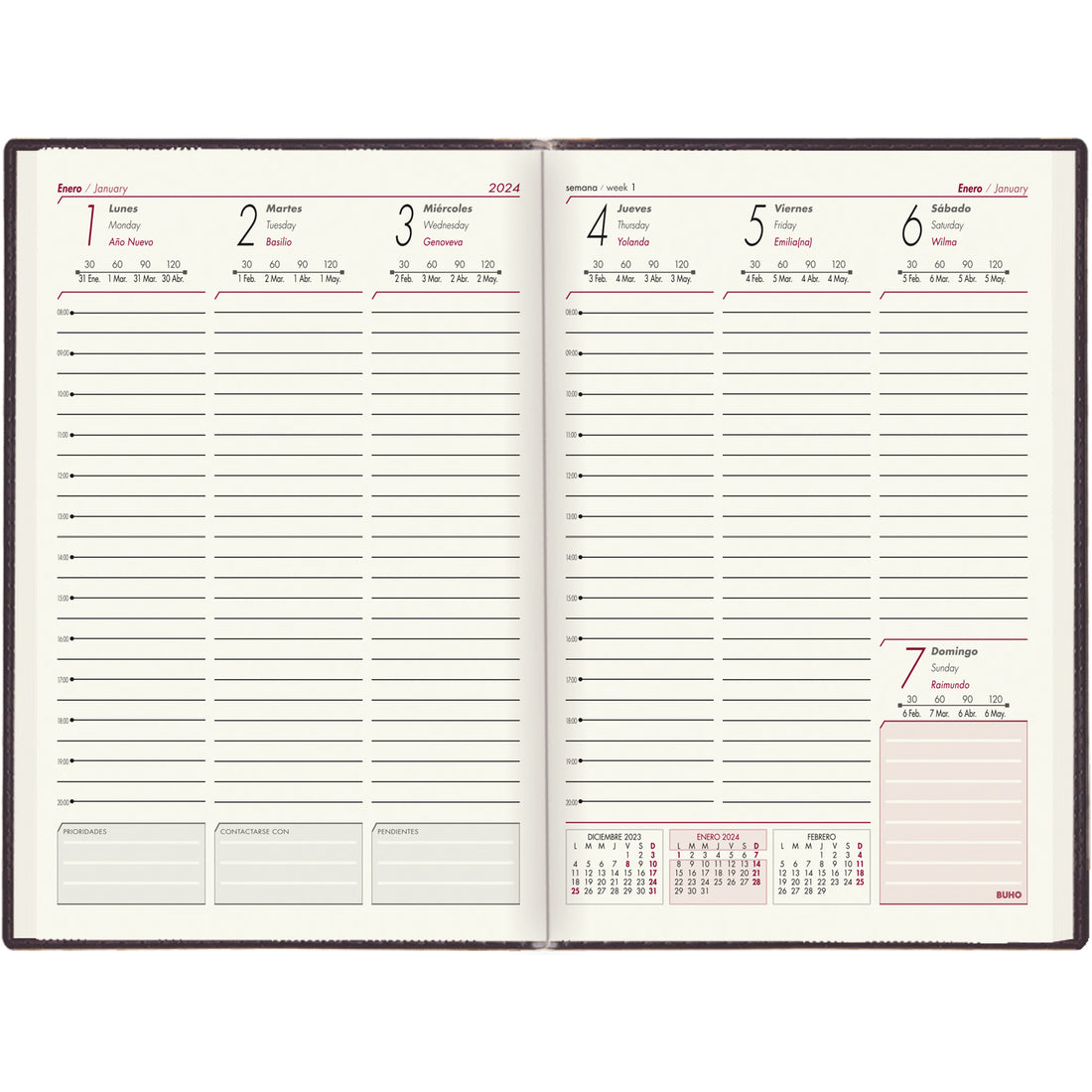 AGENDA WEEKLY LION