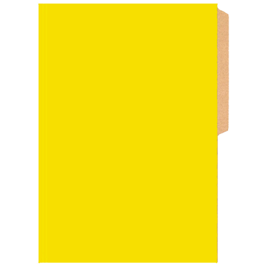 CARPETA PIGMENTADA AMARILLO