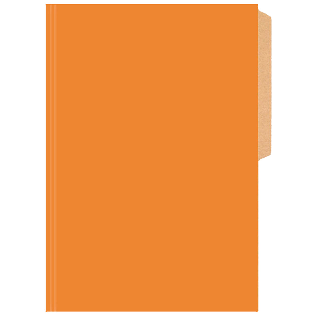 CARPETA PIGMENTADA NARANJA BRILLANTE