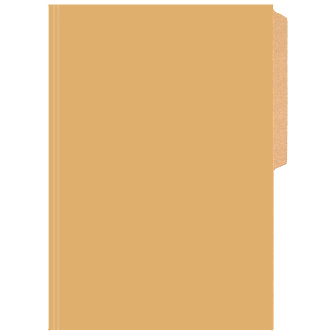 CARPETA PIGMENTADA BEIGE BRILLANTE