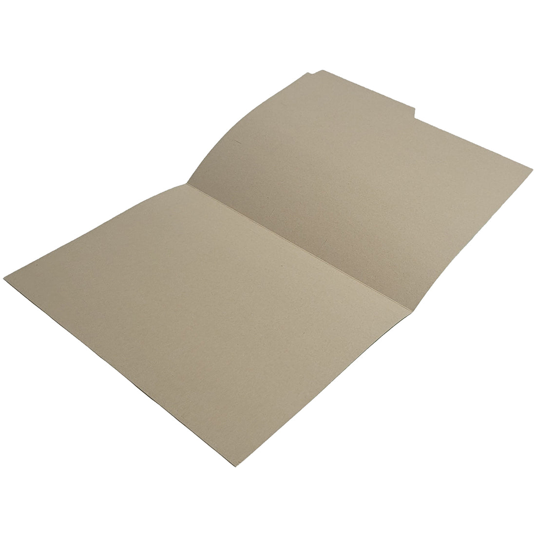 CARPETA PIGMENTADA GRIS BRILLANTE