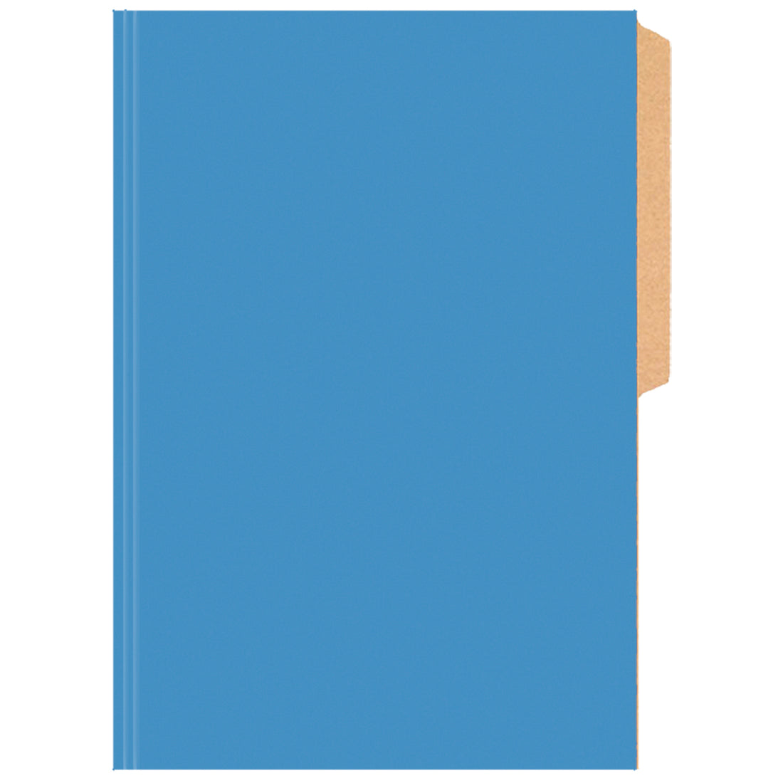 CARPETA PIGMENTADA CELESTE BRILLANTE