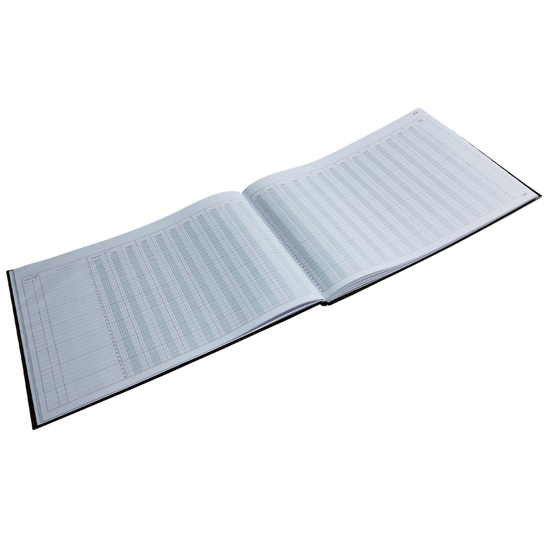 LIBRO 12 CUENTAS - 100 HJS