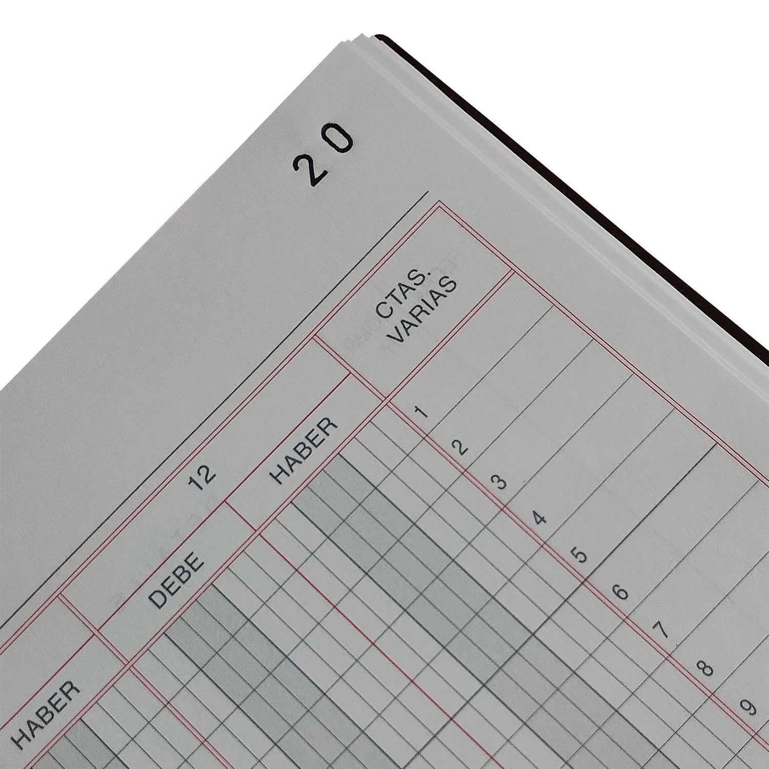 LIBRO 12 CUENTAS - 100 HJS
