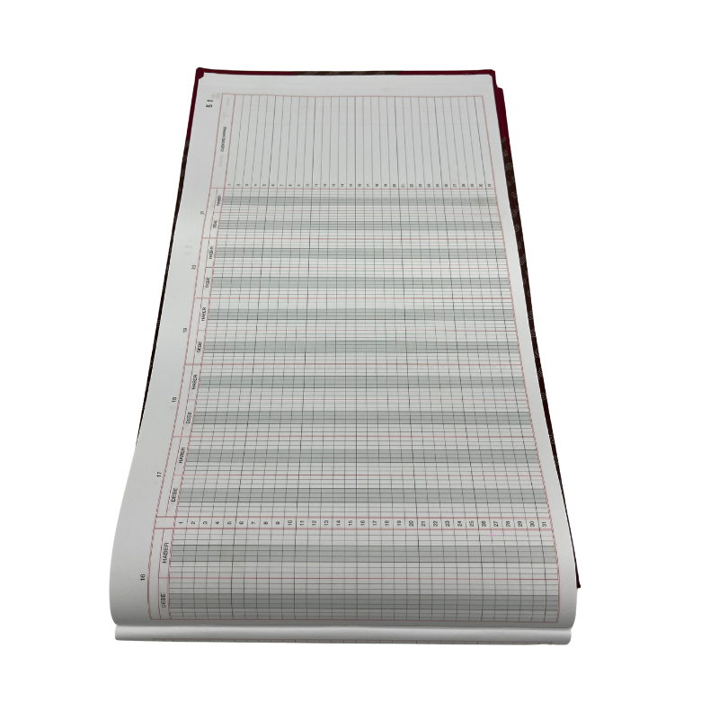 LIBRO 21 CUENTAS - 100 FOLIOS