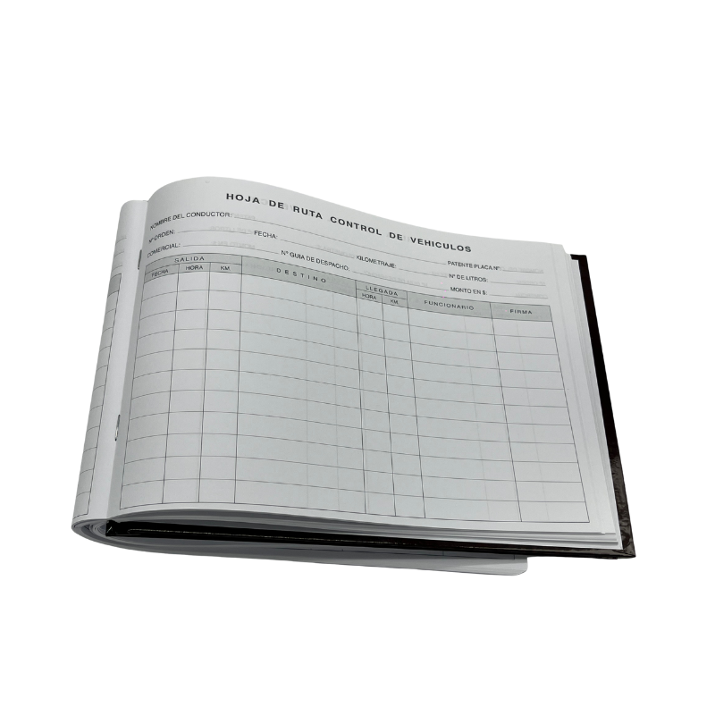 LIBRO 33 CUENTAS - 50 FOLIOS