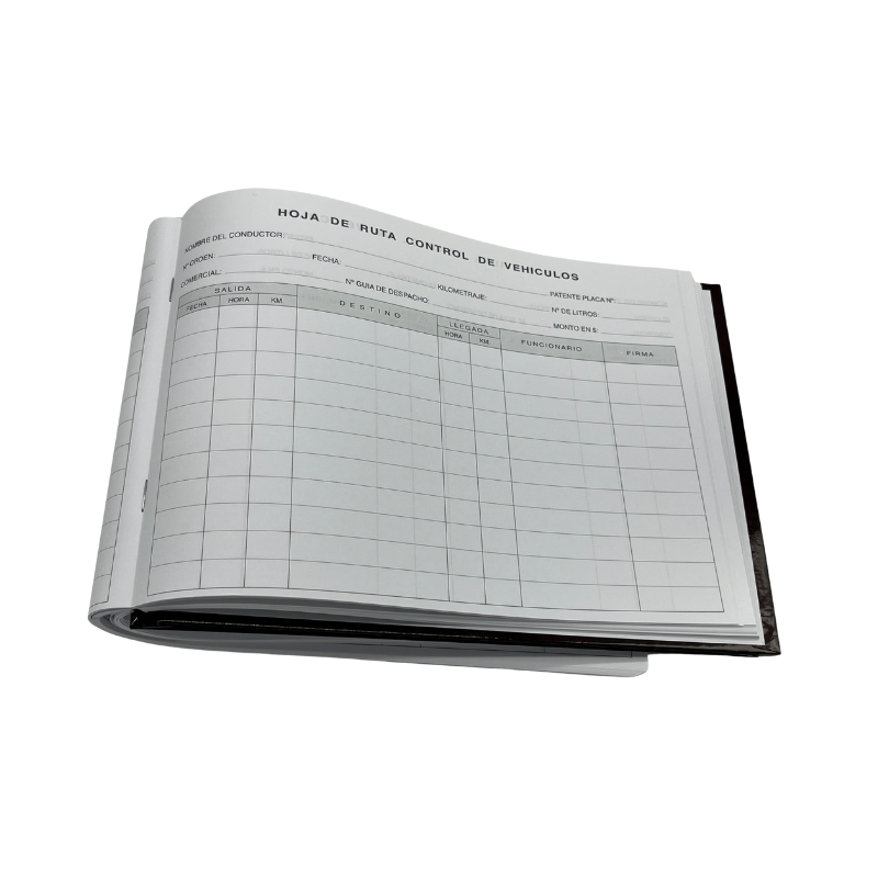 LIBRO BITACORA - 100 HJS