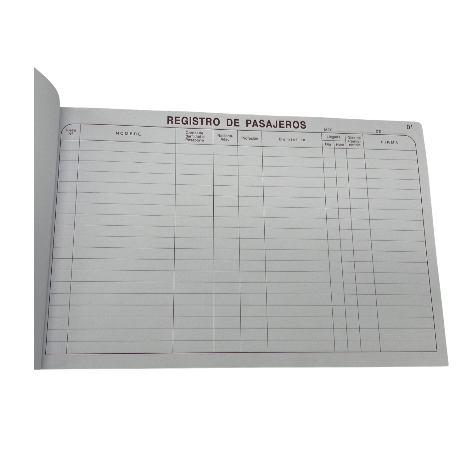 REG.DE PASAJEROS DUPLIC. 50 HJS