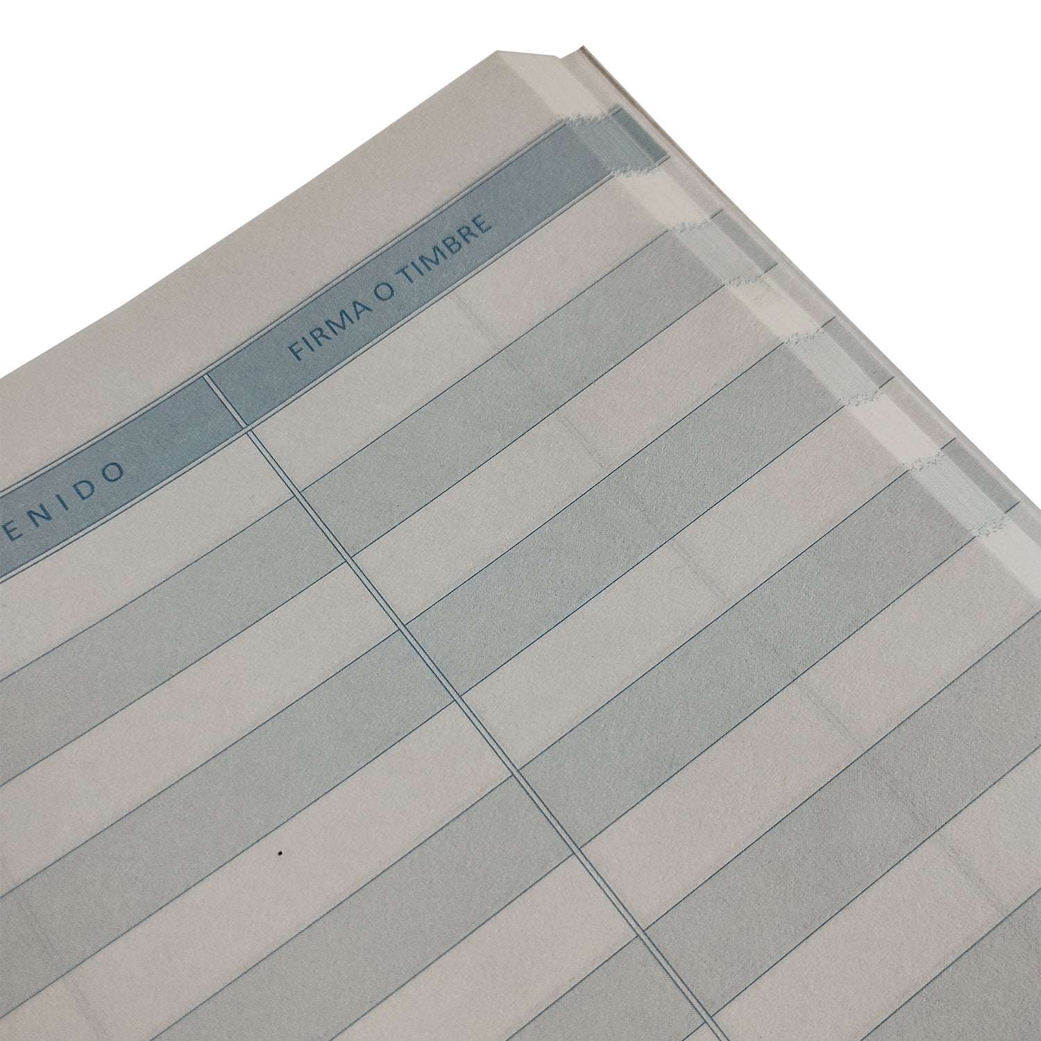 LIBRETA CORRESPONDENCIA - 100 HJS
