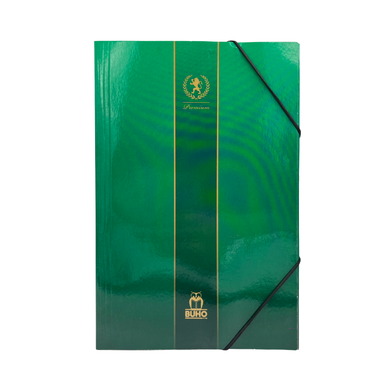 CARPETA C/ELASTICO VERDE