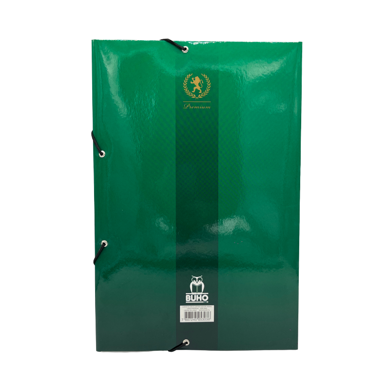 CARPETA C/ELASTICO VERDE