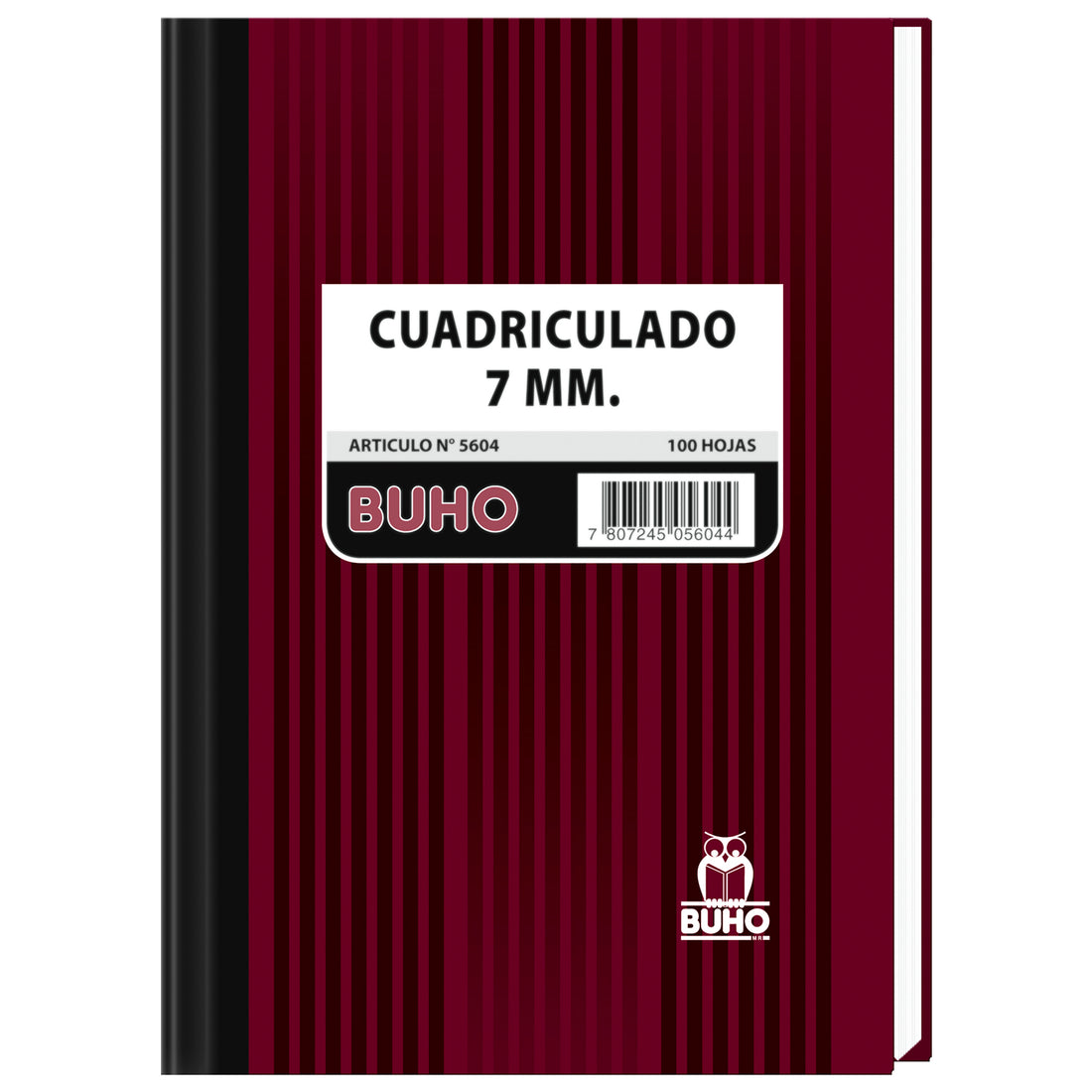 CUADERNO EMPAST.100 HJS.MATEMATICA