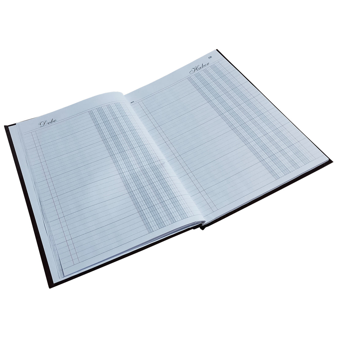 LIBRO CAJA - 50 HJS