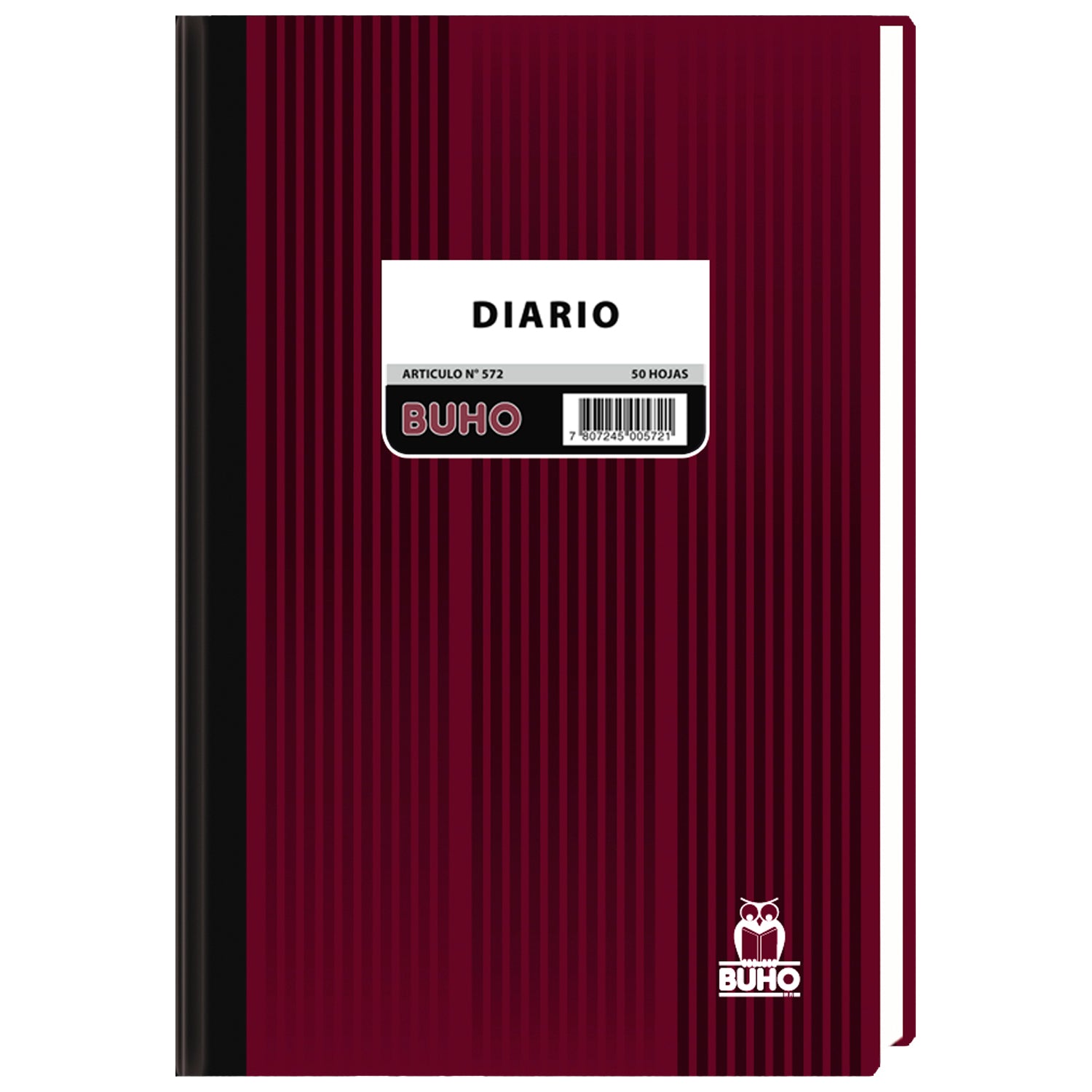 LIBRO DIARIO - 50 HJS