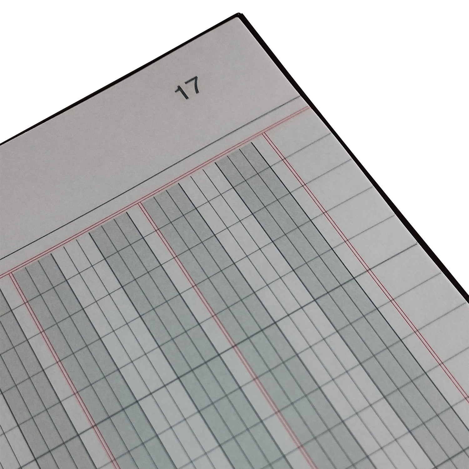 LIBRO BALANCE - 50 HJS