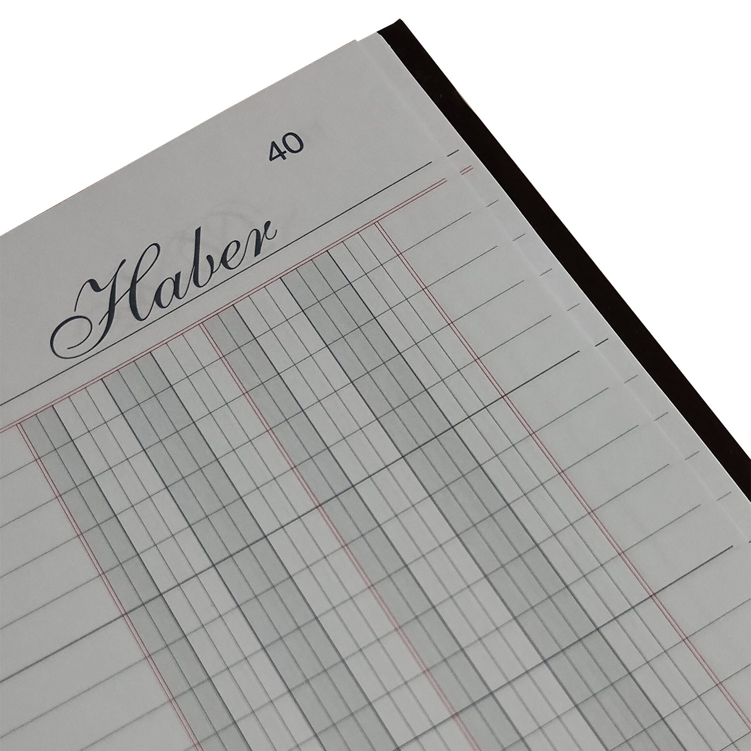 LIBRO CAJA - 100 HJS