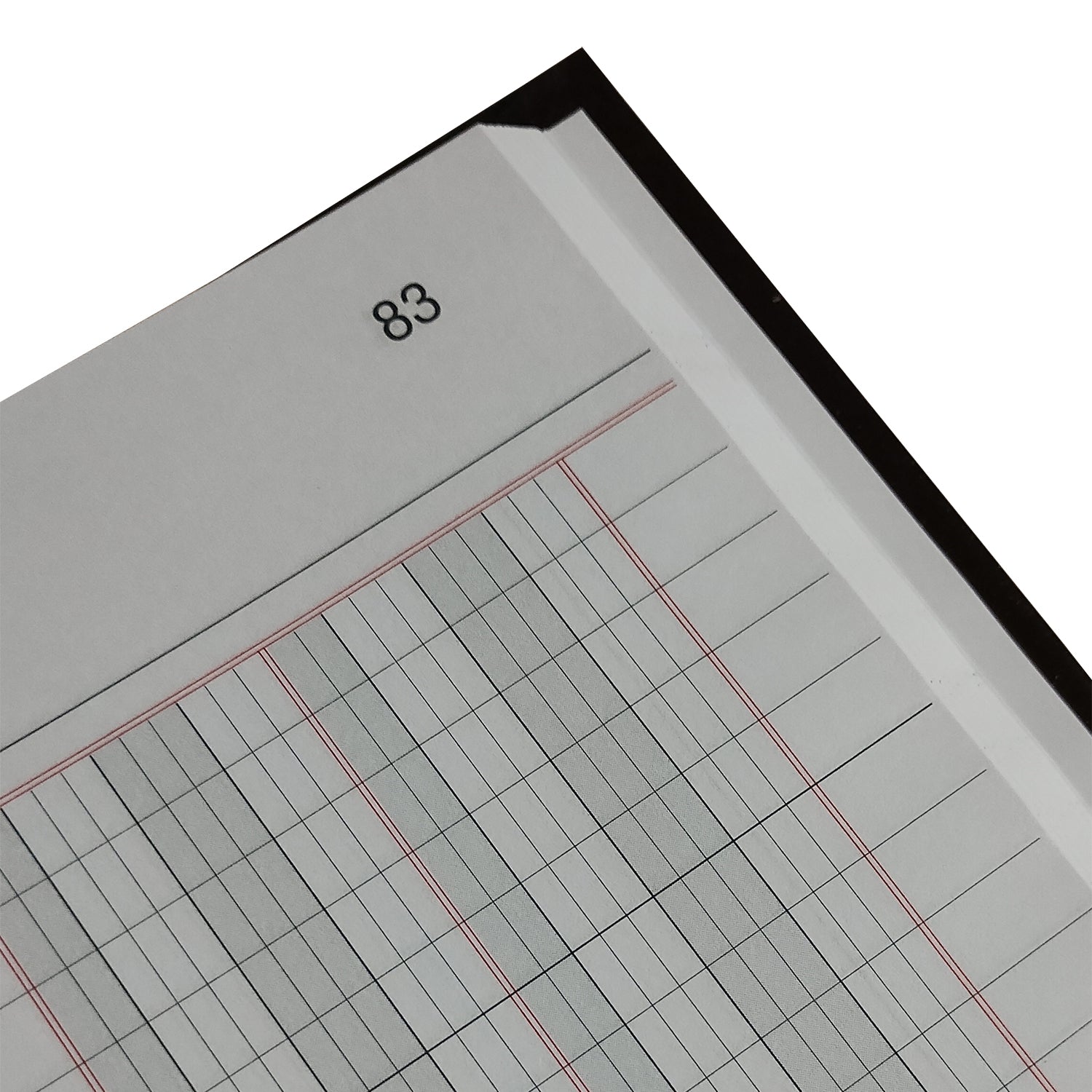 LIBRO DIARIO - 100 HJS