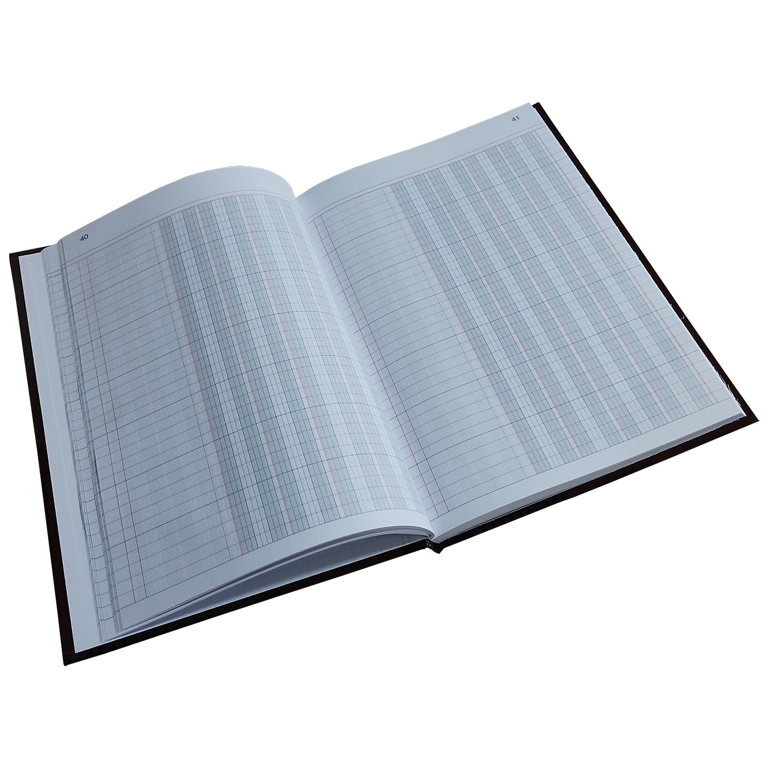 LIBRO BALANCE - 100 HJS