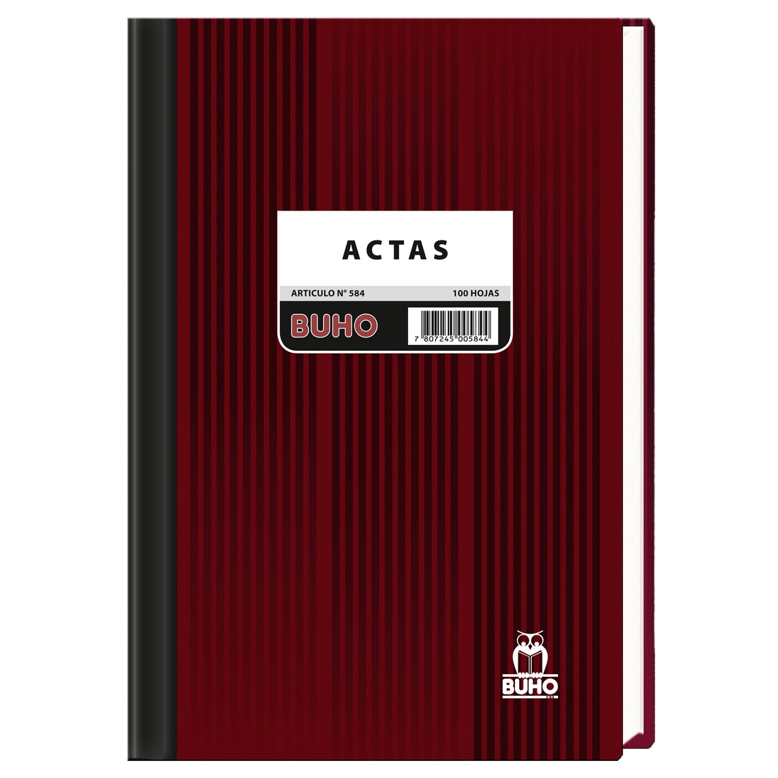 LIBRO DE ACTAS - 100 HJS