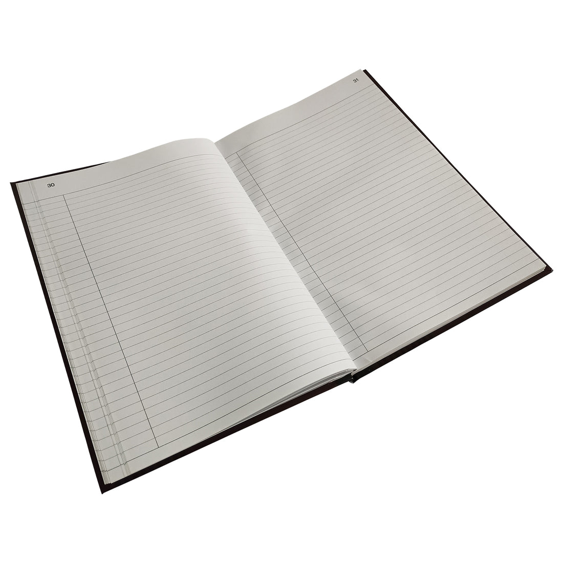 LIBRO DE ACTAS - 100 HJS