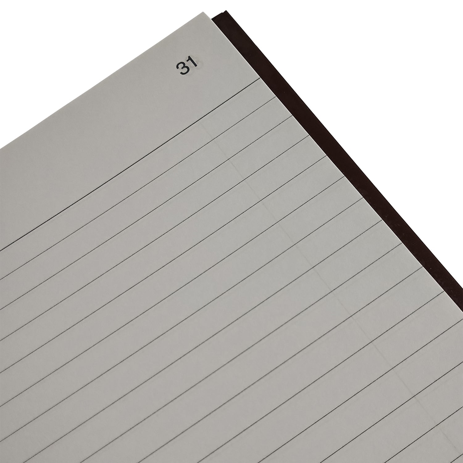 LIBRO DE ACTAS - 100 HJS