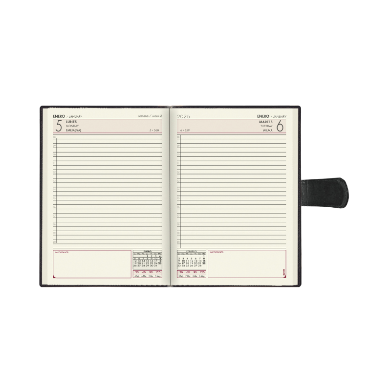 AGENDA MANAGER SILVER