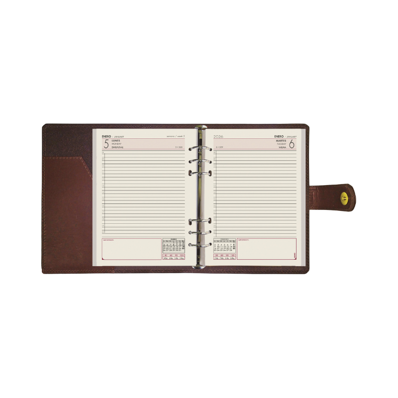 ORGANIZADOR CLASICO