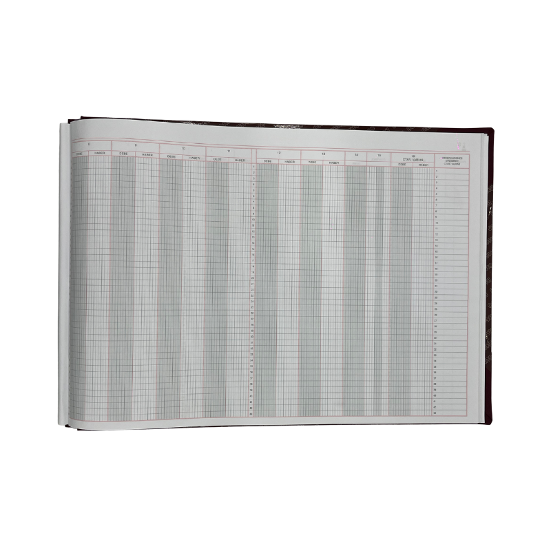 LIBRO 16 CUENTAS - 50 HJS