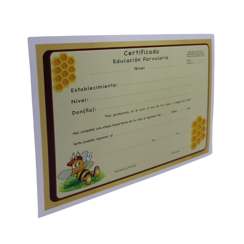 CERTIFICADO EDUCACION PARVULARIA ABEJITA