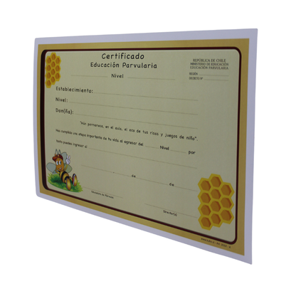 CERTIFICADO EDUCACION PARVULARIA ABEJITA