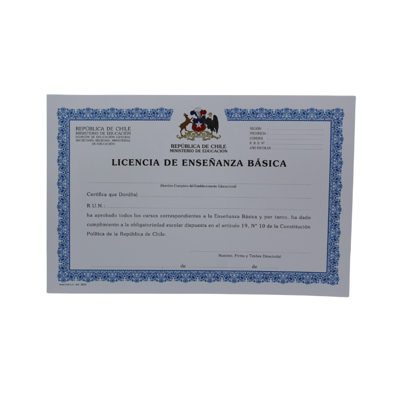 LICENCIA ENSEÑANZA BASICA