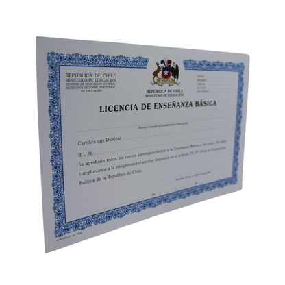 LICENCIA ENSEÑANZA BASICA