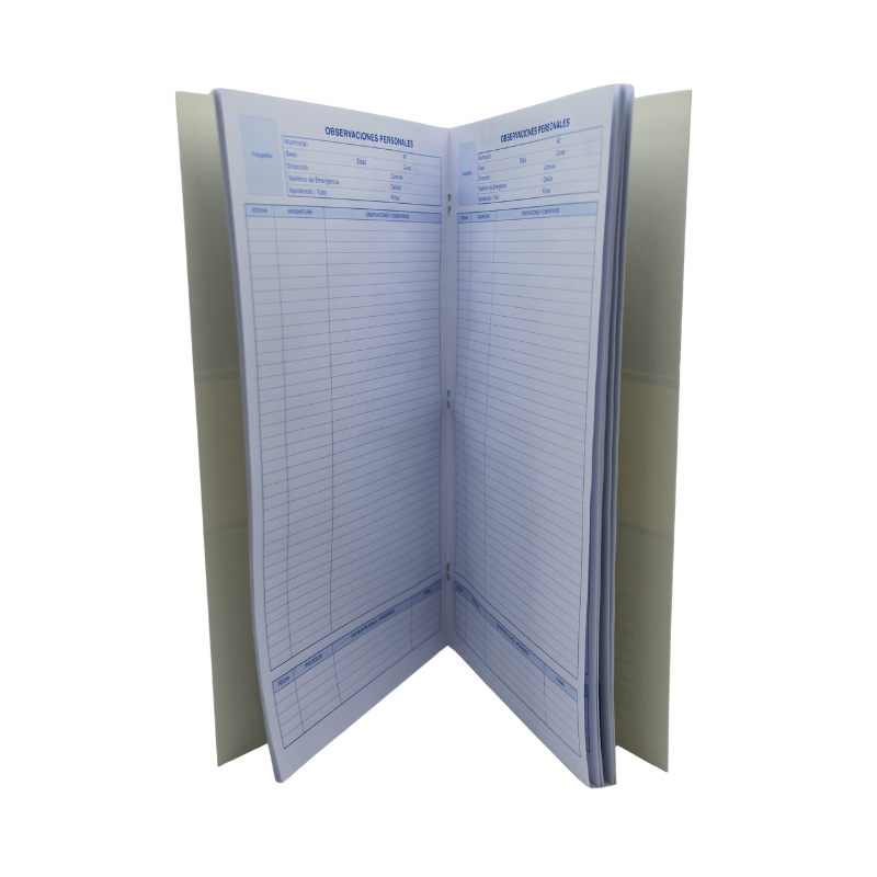 REGISTRO PERSONAL DE OBSERVACIONES ALUMNAS ALUMNOS