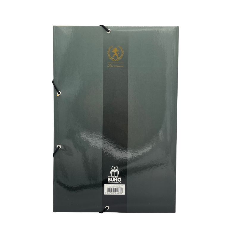 CARPETA C/ELASTICO GRIS
