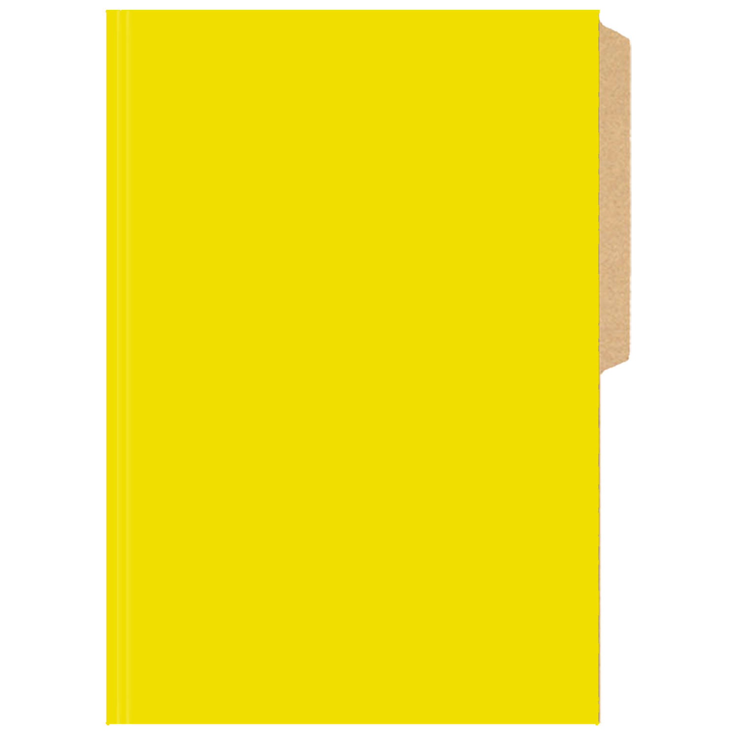 CARPETA PIGMENTADA